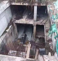 粵港澳大灣區(qū)西線新動(dòng)脈 虎門、長(zhǎng)安工程建設(shè)迎來(lái)實(shí)質(zhì)性利好，實(shí)地勘察全面展開