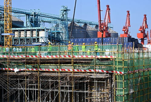青島國際郵輪港區(qū)搶抓施工黃金期，建設(shè)按下“快進(jìn)鍵”，工程勘察穩(wěn)步推進(jìn)